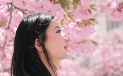 正品日本高清dvd碟片生活版